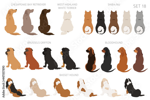 Sitting dogs backside clipart, rear view. Diifferent coat colors variety. Pet graphic design for dog lovers