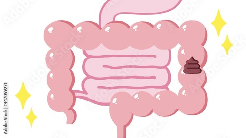 健康な大腸とウンチのアニメーション動画 photo