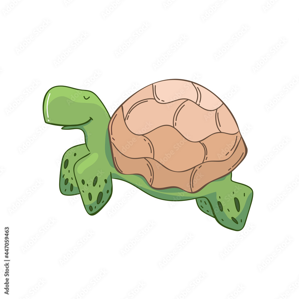 cute sea turtle Hand drawing animal. vector design isolated on white ...