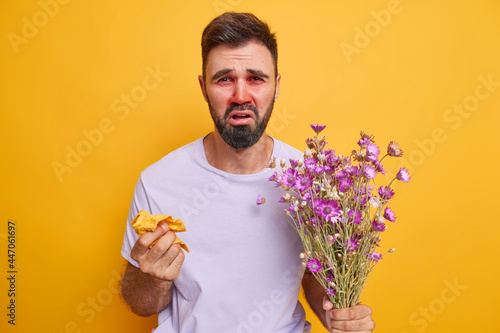 Displeased ill adult man suffers from sinusitis allergic rhinitis watery red eyes holds napkin bouquet of wildflowers isolated over yellow wall has problems with respiratory tract. Seasonal allergy photo