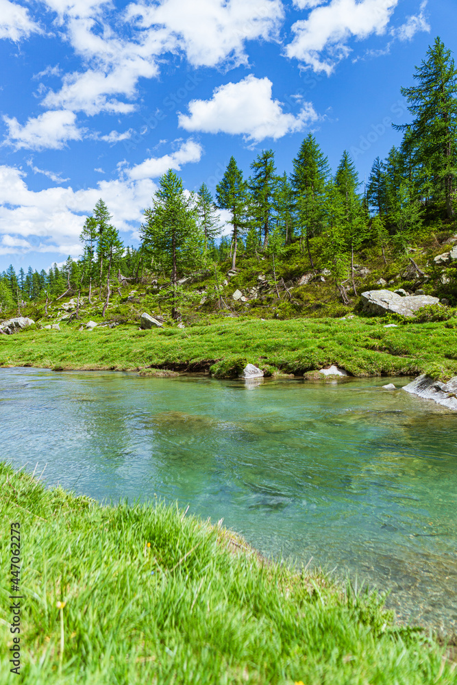 The woods, nature and the peace of the mountains of the Alpe Veglia - Devero natural park: a place suitable for the whole family near the town of Baceno, Italy - July 2021.