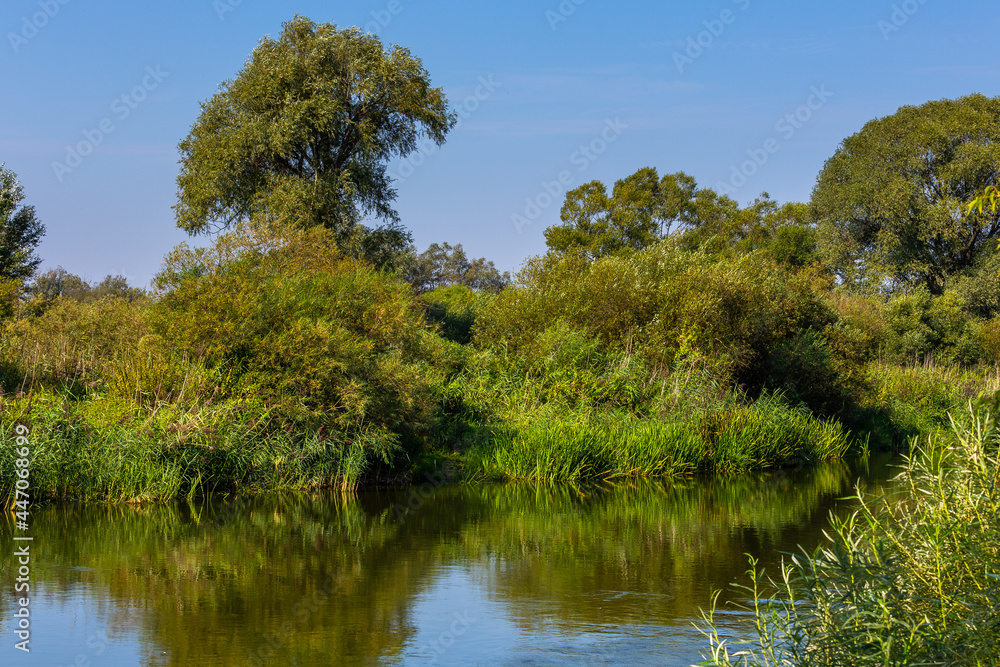 Summer day over Warta river in Warta Landscape Park, Poland. Summer day over Warta river in Warta Landscape Park, Poland.