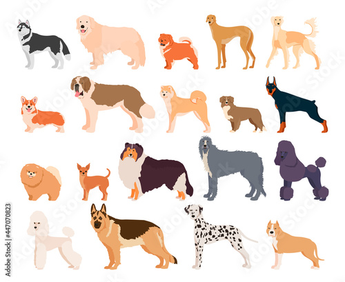 Dogs collection. Different breeds. Vector illustration isolated on white background