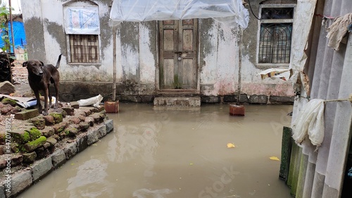 Flood in the village of india