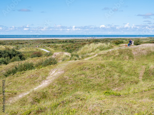 Dunes with people and footpaths at North Sea coast of Schiermonnikoog, Netherlands photo