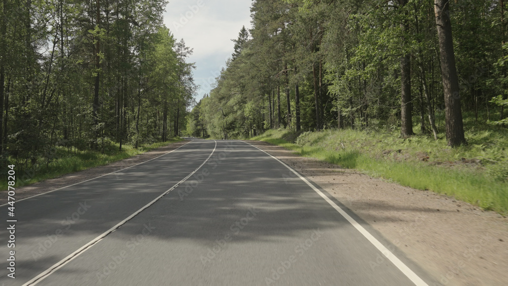 driving plate through forest in sunny summer day driving plate through forest in sunny summer day