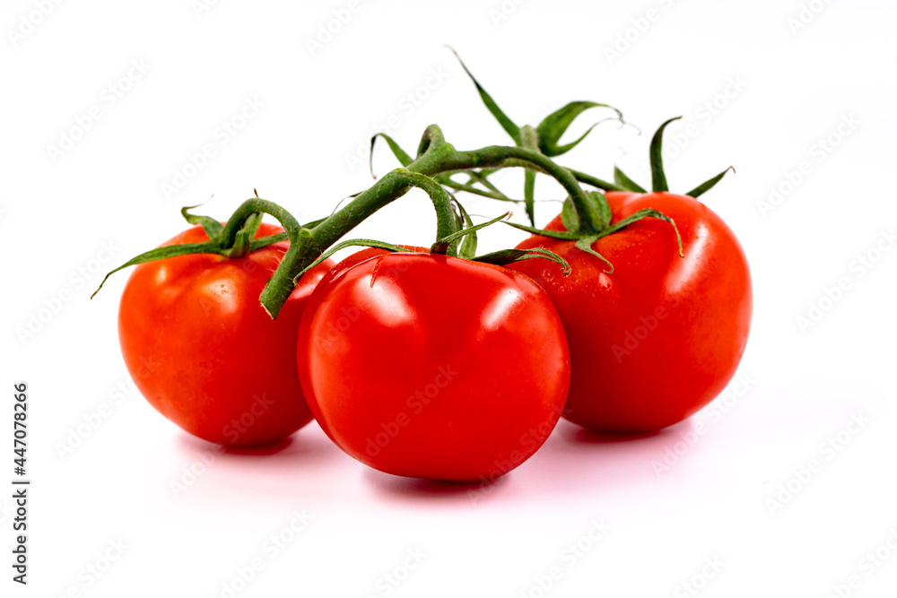 Groupe de trois tomates sur fond blanc Groupe de trois tomates sur fond blanc