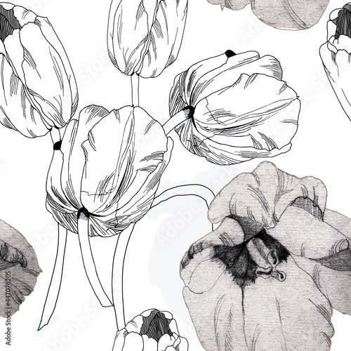 Graphics tulipd black and white on white background seamless pattern for all prints. photo