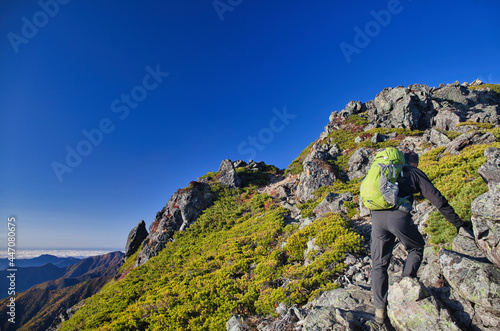 mt.warusawa, mt.akaishi, in autumn, trekking 秋の悪沢岳、赤石岳トレッキング