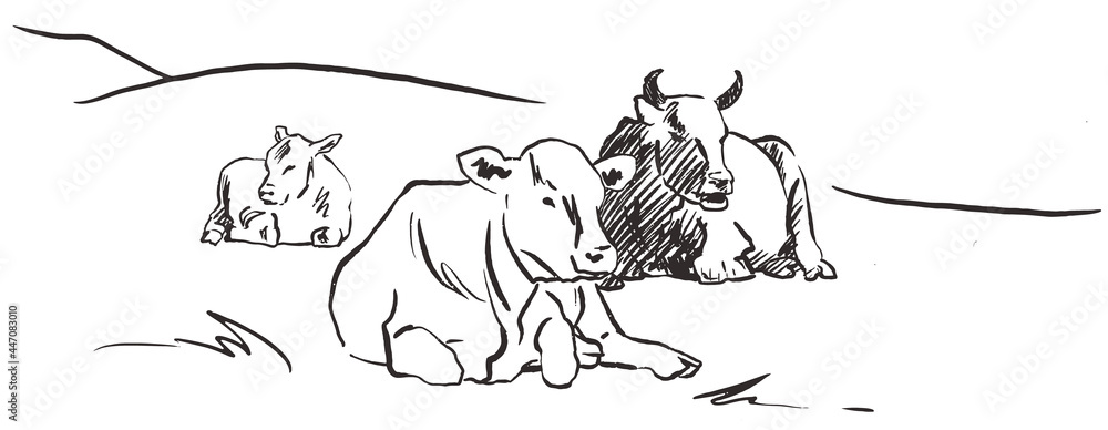 Cows lying down on meadow Hand drawn sketch style black and white graphic vector illustration Cows lying down on meadow Hand drawn sketch style black and white graphic vector illustration