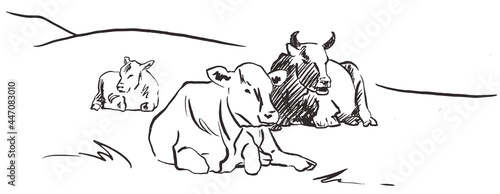 Cows lying down on meadow Hand drawn sketch style black and white graphic vector illustration