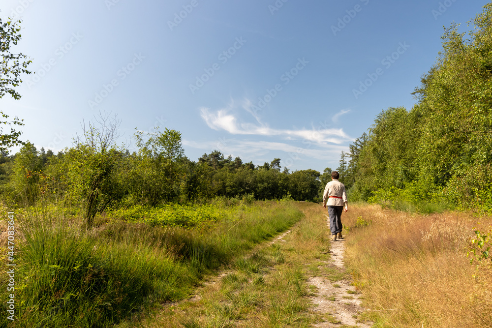 Lone elderly hiker medium wide shot in open forest land Lone elderly hiker medium wide shot in open forest land