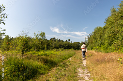 Lone elderly hiker medium wide shot in open forest land © IHX