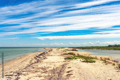 Wild beautiful beach on the Dzharylgach island in the Black Sea