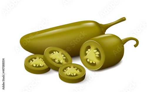 Unripe pickled jalapeño chili pepper, half of pod with three slices, isolated on white background. Realistic vector illustration.