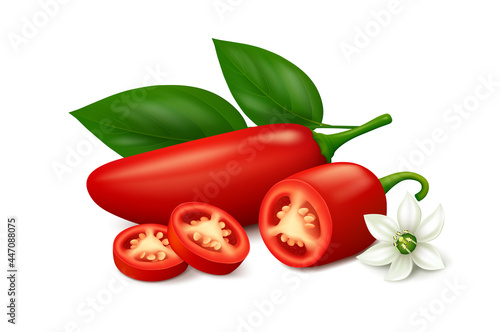 Ripe red jalapeño chili pepper, half of pod, two slices, flower and leaves isolated on white background. Realistic vector illustration.