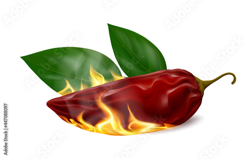 Smoke-dried red jalapeño chili pepper pod (chipotle) with fire and leaves isolated on white background. Realistic vector illustration.