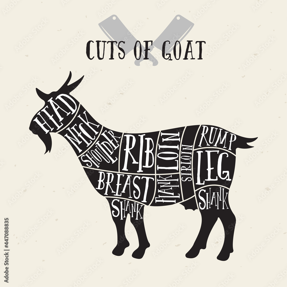 Meat cuts goat. Diagrams for butcher shop. Scheme of goat. Animal
