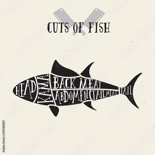 Meat cuts - fish. Diagrams for butcher shop. Scheme of fish. Animal silhouette fish. Guide for cutting.