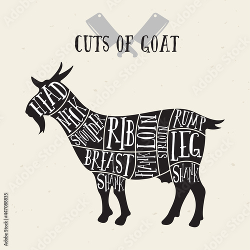 Meat cuts - goat. Diagrams for butcher shop. Scheme of goat. Animal silhouette goat. Guide for cutting. photo