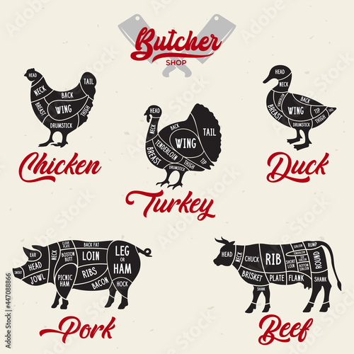 Meat cuts set. Diagrams for butcher shop. Scheme of chicken, beef, pork etc. Animal silhouettes. Guide for cutting.