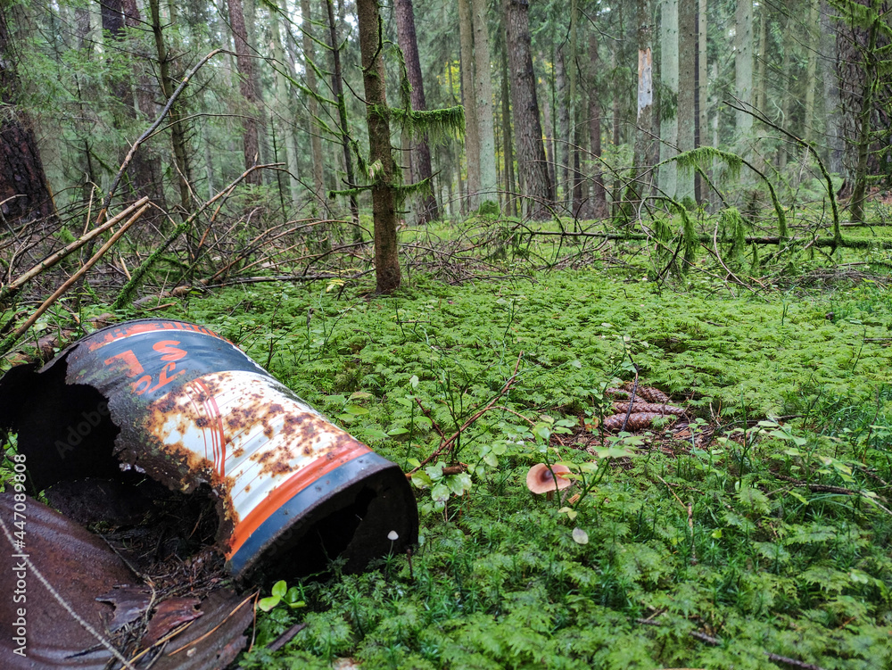 Can in moss