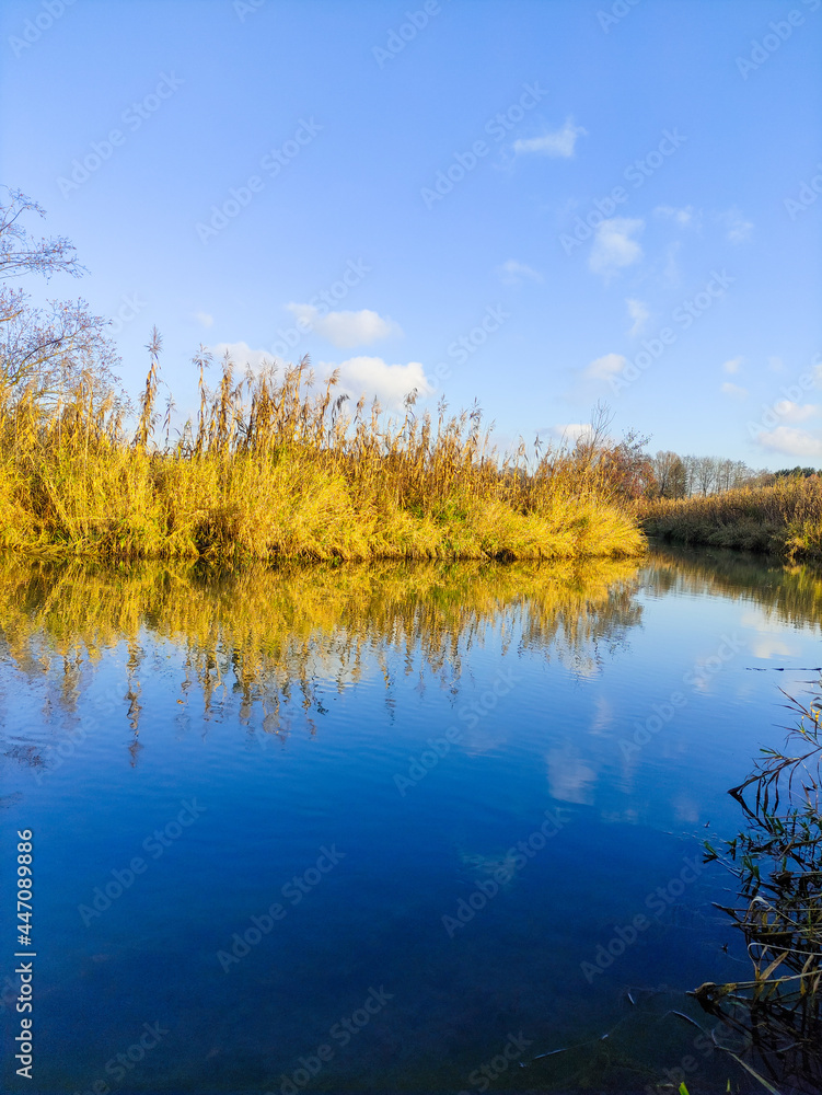 autumn landscape with lake and trees