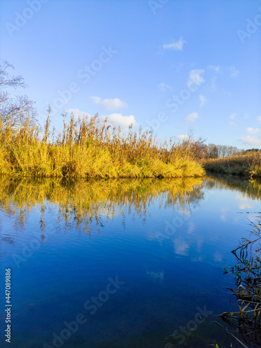 Obraz na płótnie autumn landscape with lake and trees w salonie