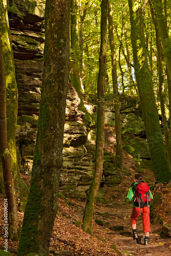 woman hiking through the forest in Berdorf photo