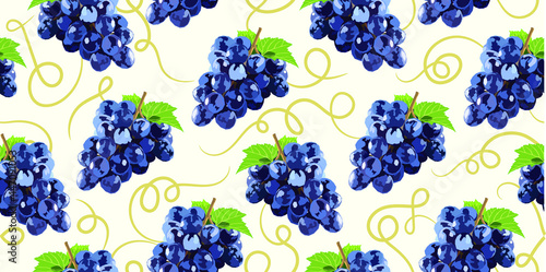 Grape vector seamless background. Fruits and berries