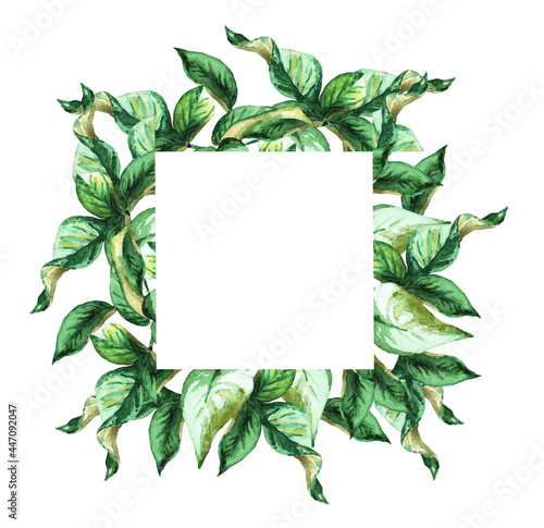 Green leaf. Frame. Watercolor (4)
