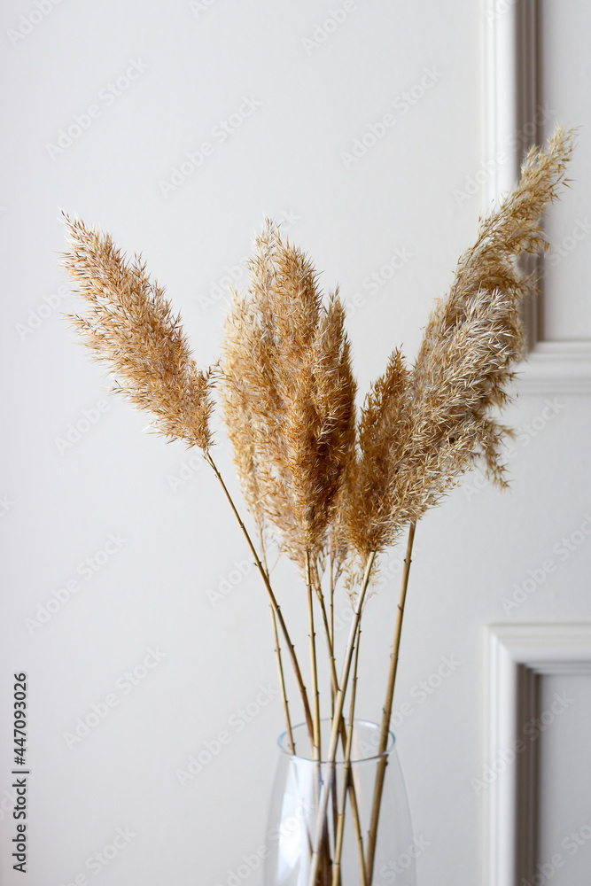 Plakat Beige reeds in vase standing on table. Minimal, styled concept for bloggers. Dry reed indoor in light pastel colors, reed layer, reed seeds