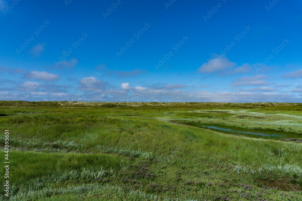 Obraz premium Wangerooge