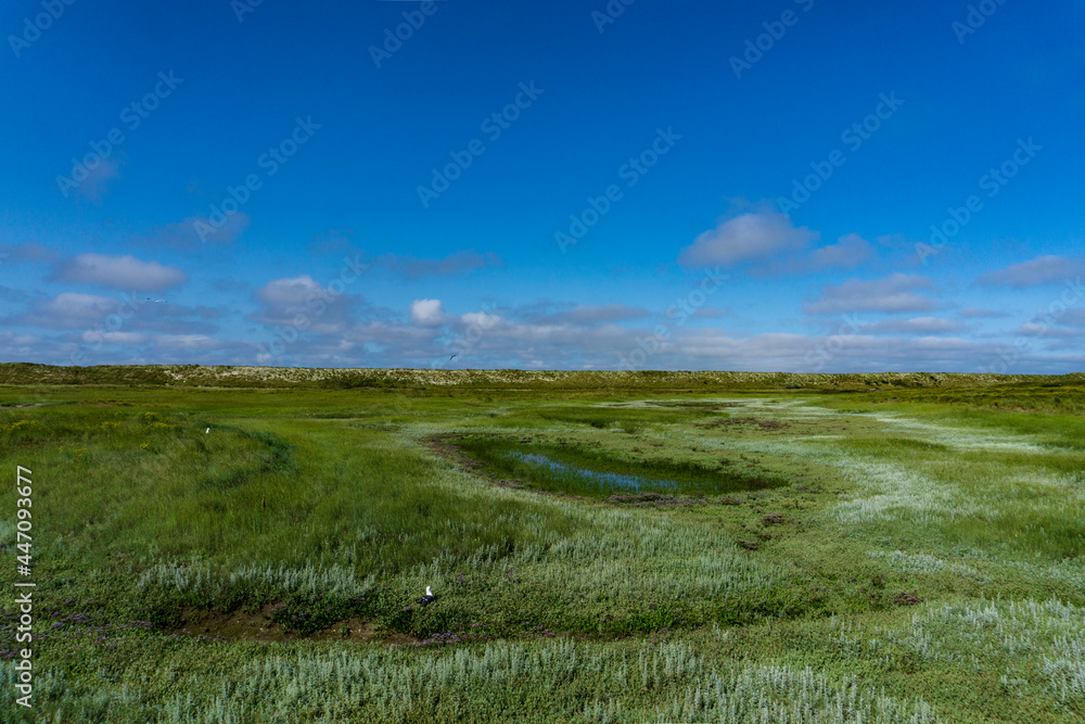 Obraz premium Wangerooge