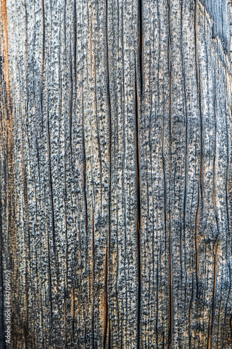 patterns and texture of old wood