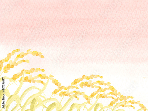 水彩で描いた稲穂と夕焼けの風景