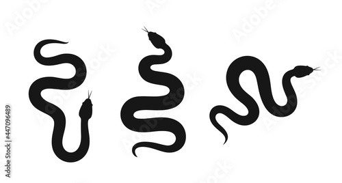 Snake silhouette. Isolated snake on white background