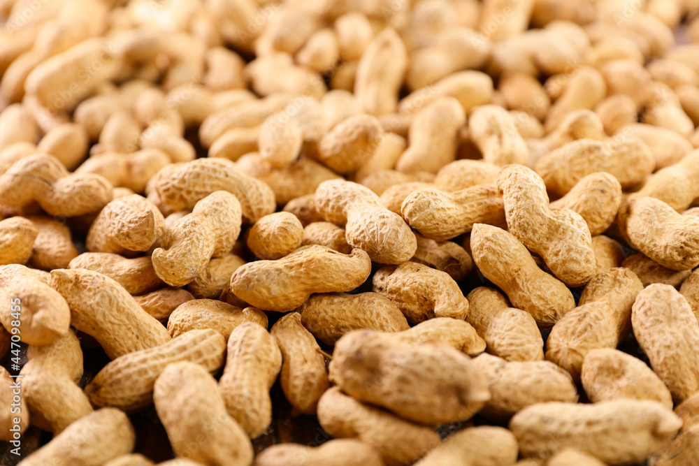 abundance of peanut with shell abundance of peanut with shell