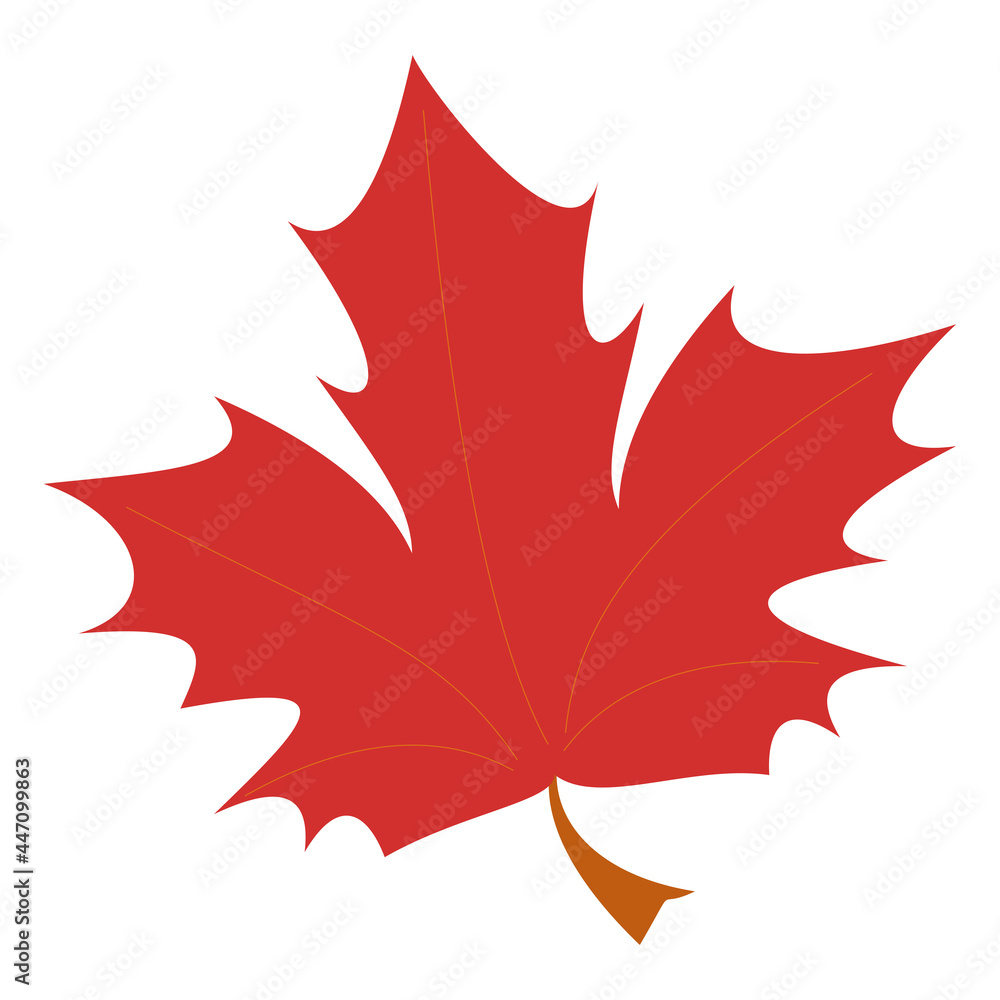 Naklejka premium Maple leaf Flat vector illustration on white background