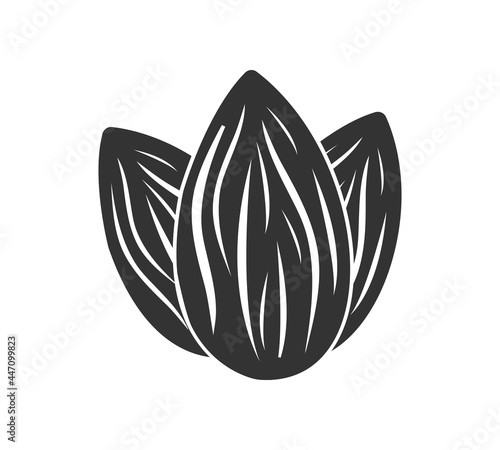 Almond icon. Nut vector illustration isolated on white background.