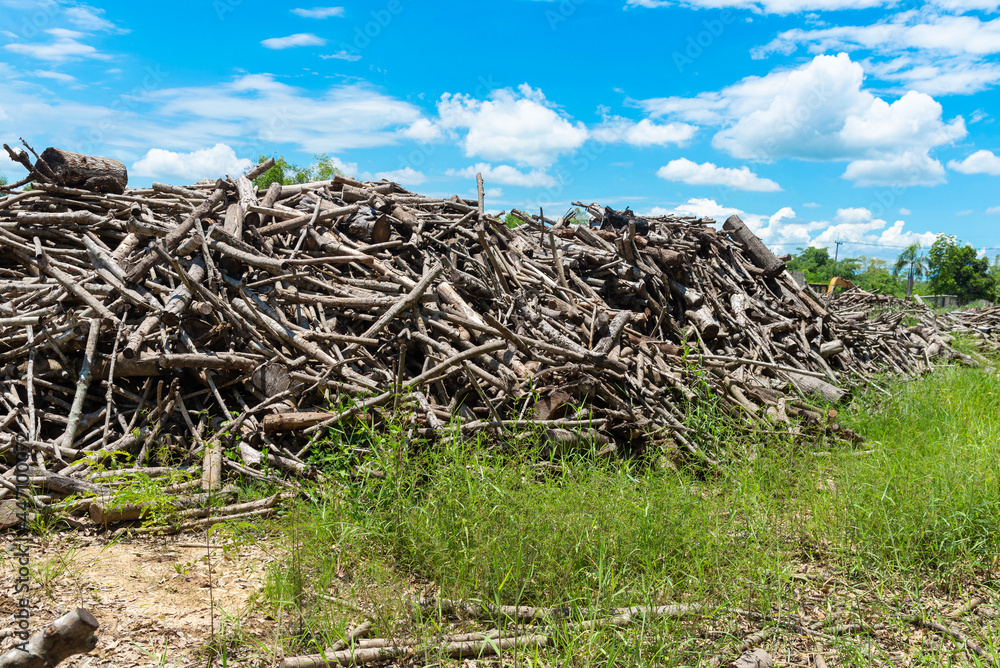 A pile of stacked firewood, prepared for heating the house, Firewood harvested for heating in winter, Chopped firewood on a stack, Firewood stacked and prepared for winter Pile of wood logs. A pile of stacked firewood, prepared for heating the house, Firewood harvested for heating in winter, Chopped firewood on a stack, Firewood stacked and prepared for winter Pile of wood logs.