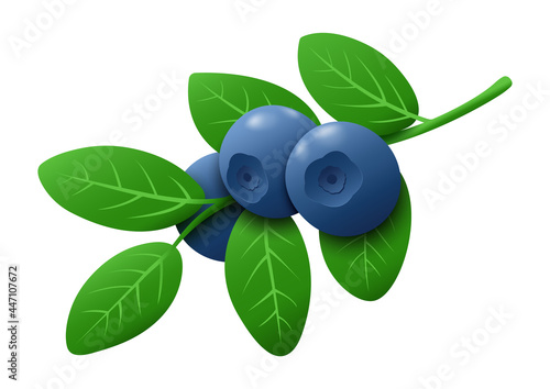 Fresh blueberry branches  isolated on white background. Ripe blueberries and green leaves on a branch. Healthy organic plants. Vector illustration for any design