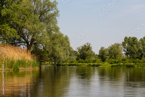 Summer day over Warta river in Warta Landscape Park, Poland.