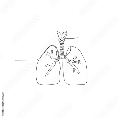 hand drawn doodle lungs illustration vector isolated on continuous line art style