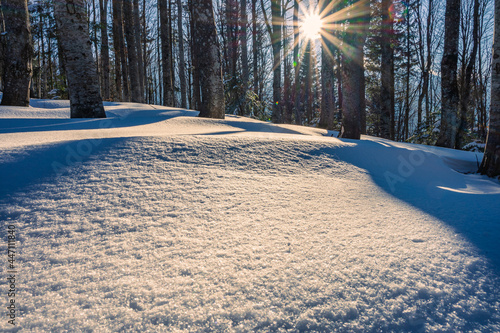 Gegenlicht mit Sonnenstrahlen über verschneiter Waldlandschaft