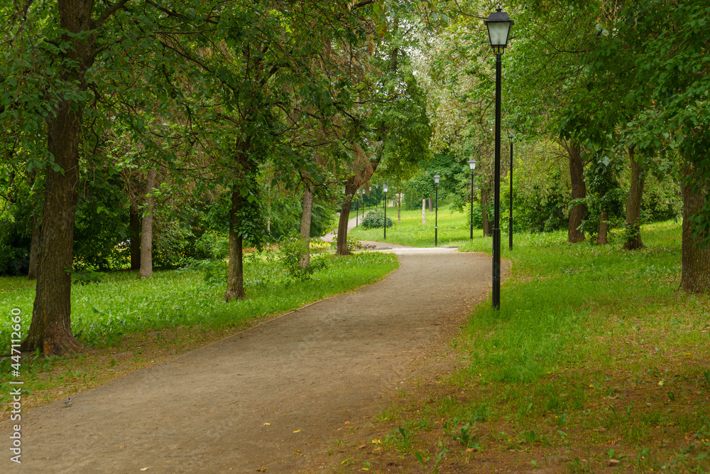 Shady path of city park in summer day without people