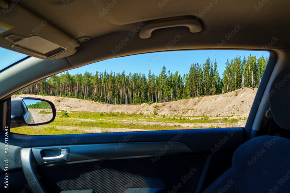 View of fir forest on hillock from open car window on summer day
