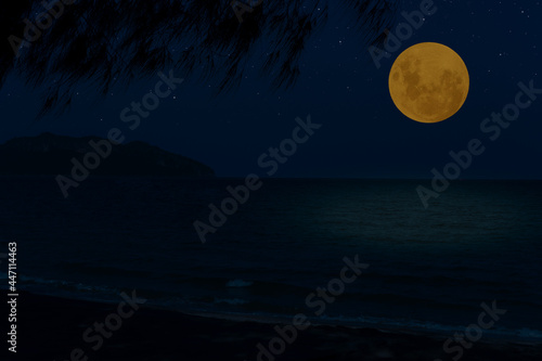 Full moon on sky over sea at night. photo