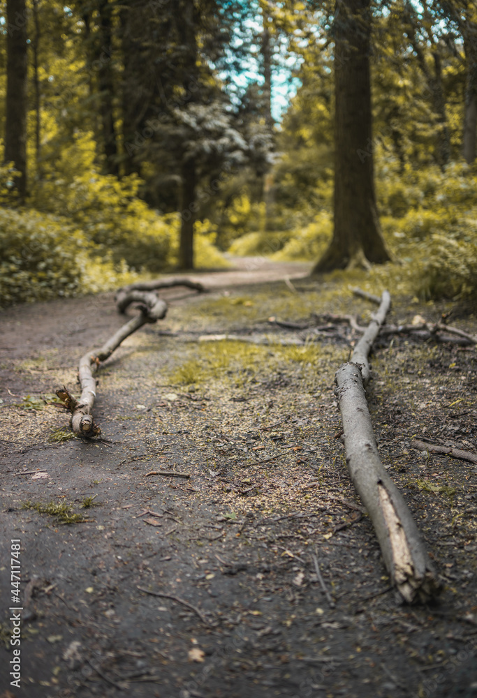 walk walk