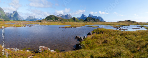 Panorama of a beautiful lake surrounded by overgrown grass and mossy shores with a blue mountain range on the horizon. Norway. Lofoten Islands